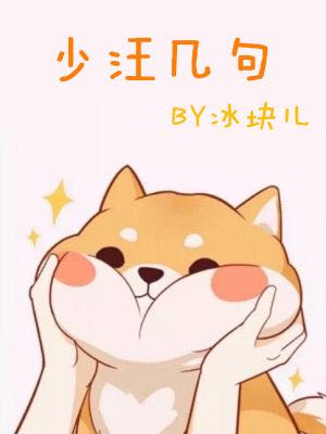 少汪几句完整版